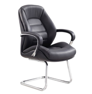 פרזידנט-אורח-500500-1